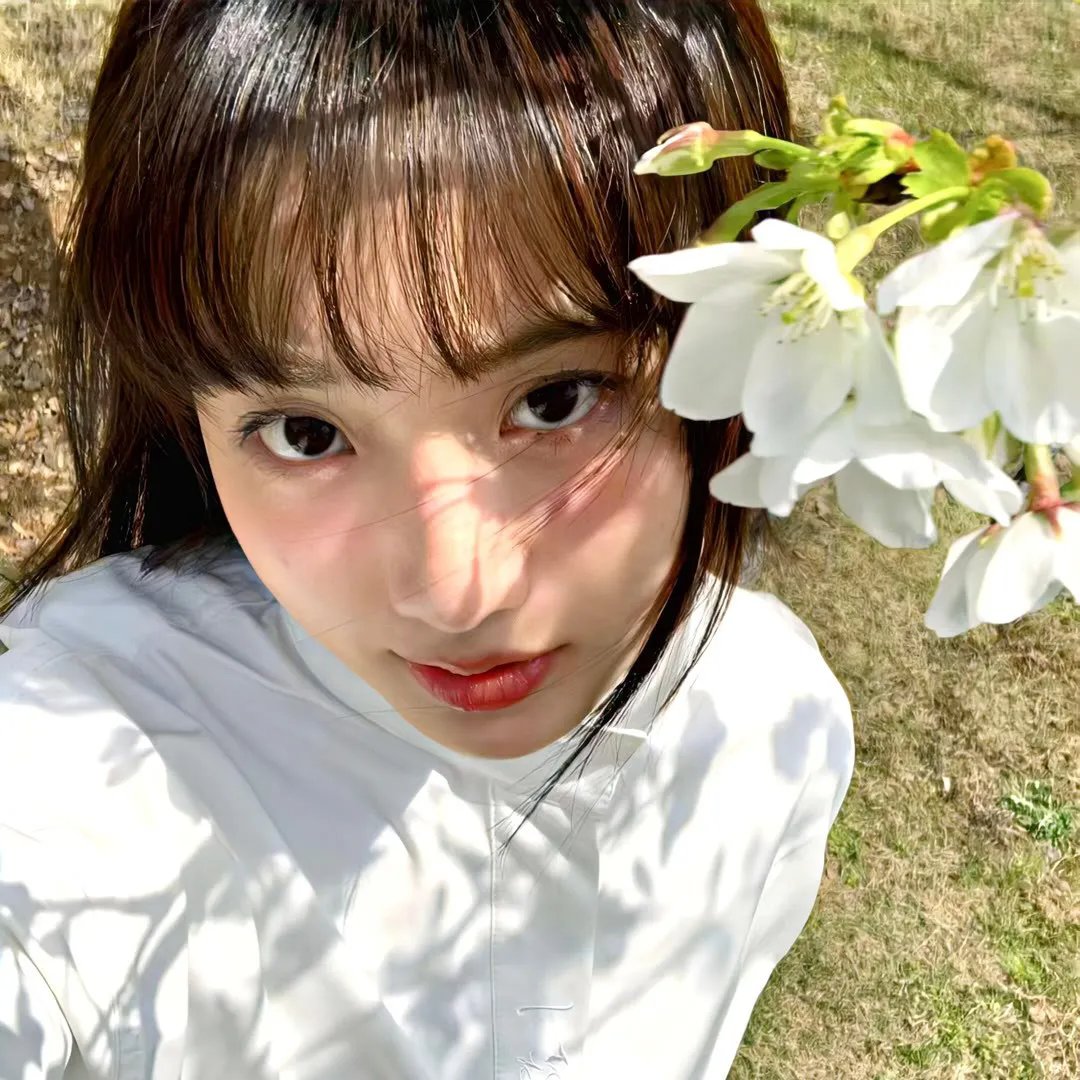 小林家的龙女仆第二季