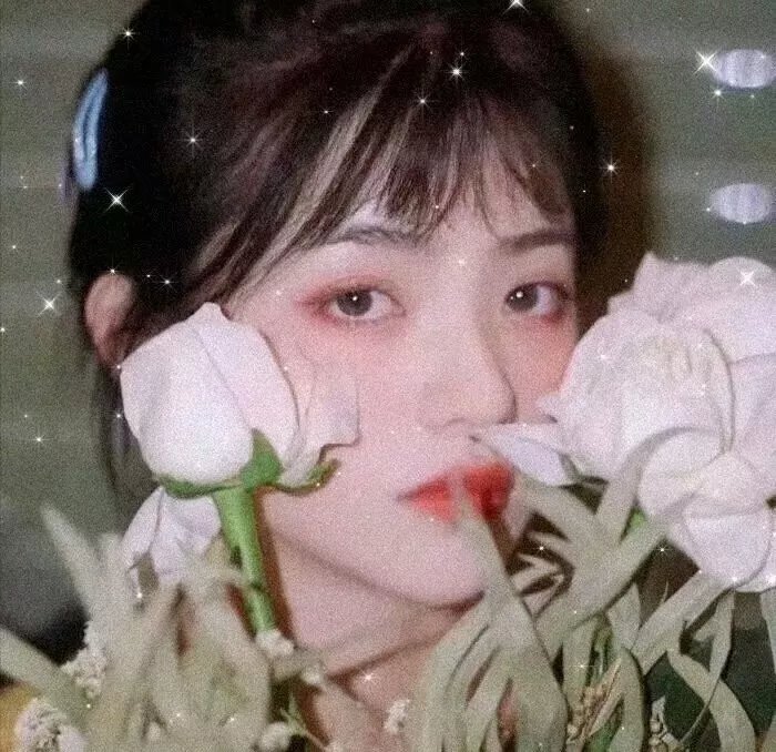 哈比比与艾侬